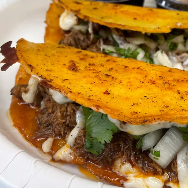 Two birria tacos with melted cheese, shredded beef, cilantro, and onions on a white plate.